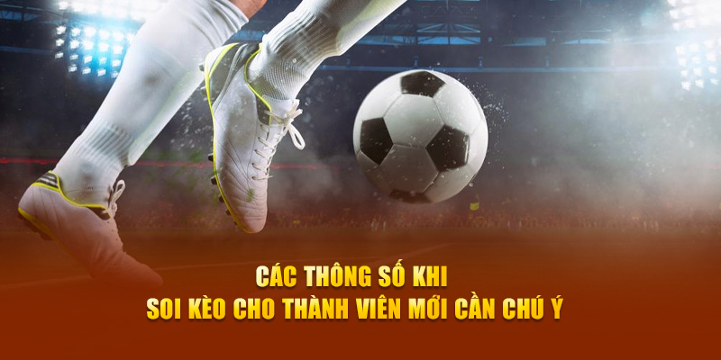 Các thông số khi soi kèo châu Á cho thành viên mới cần chú ý